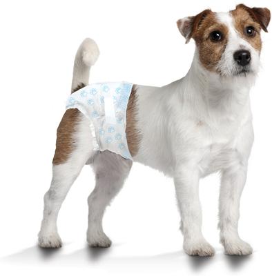 Show full view: Four Paws Wee-Wee Disposable Dog Diapers, Small, 12 count slide 6 of 12