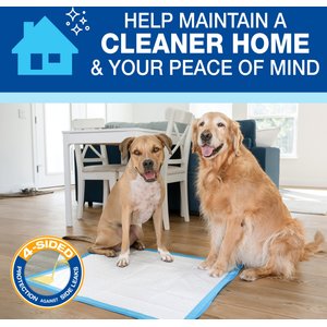 Wee-Wee Pads Superior Performance with Runoff Edge Guard Dog Pee Pads, X-Large, 28 x 34-in, 40 count