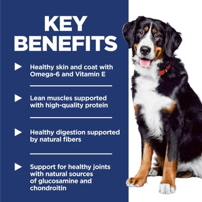 Hill's Science Diet Adult Large Breed Dry Dog Food