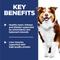 Show in main carousel: Hill's Science Diet Senior Adult 7+ Chicken Meal, Rice & Barley Recipe Dry Dog Food, 15-lb bag slide 6 of 13