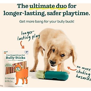 Woof BullySafe & 6-inch Bully Stick Dog Treats, 5 count