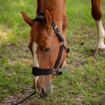 Show full view: Equinavia Saga Fleece Padded Breakaway Horse Halter, Black, Warmblood slide 3 of 4