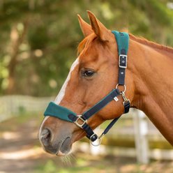 Equinavia Saga Fleece Padded Breakaway Horse Halter, Navy/Turquoise, Warmblood