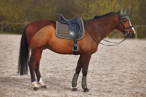 Show full view: Horze Marquess Horse Ear Net, Walnut slide 2 of 3