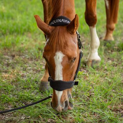 Show full view: Equinavia Saga Fleece Padded Breakaway Horse Halter, Black, Warmblood slide 2 of 4