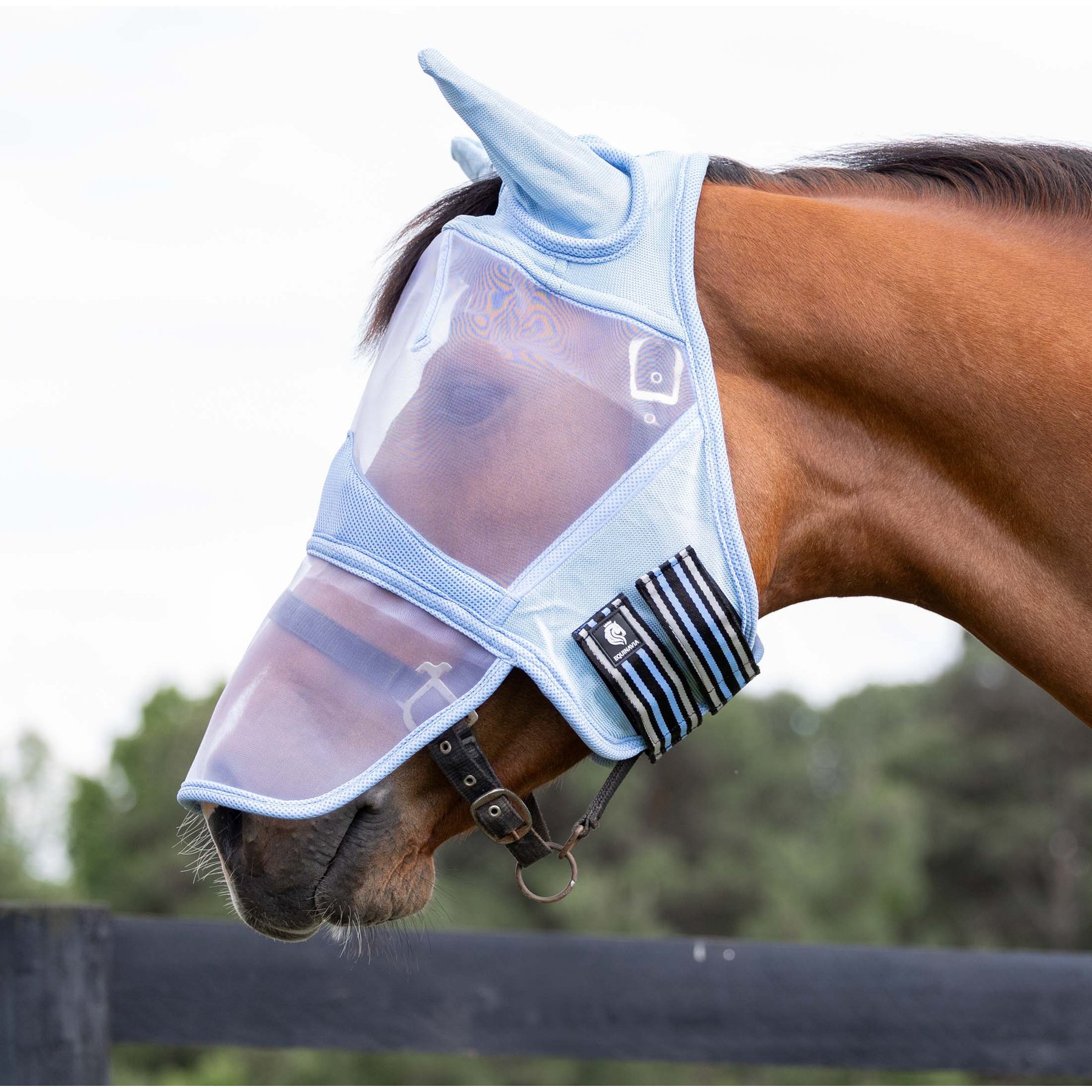 Equinavia Algard Soft Mesh Long Nose Horse Fly Mask, Light Blue, Warmblood