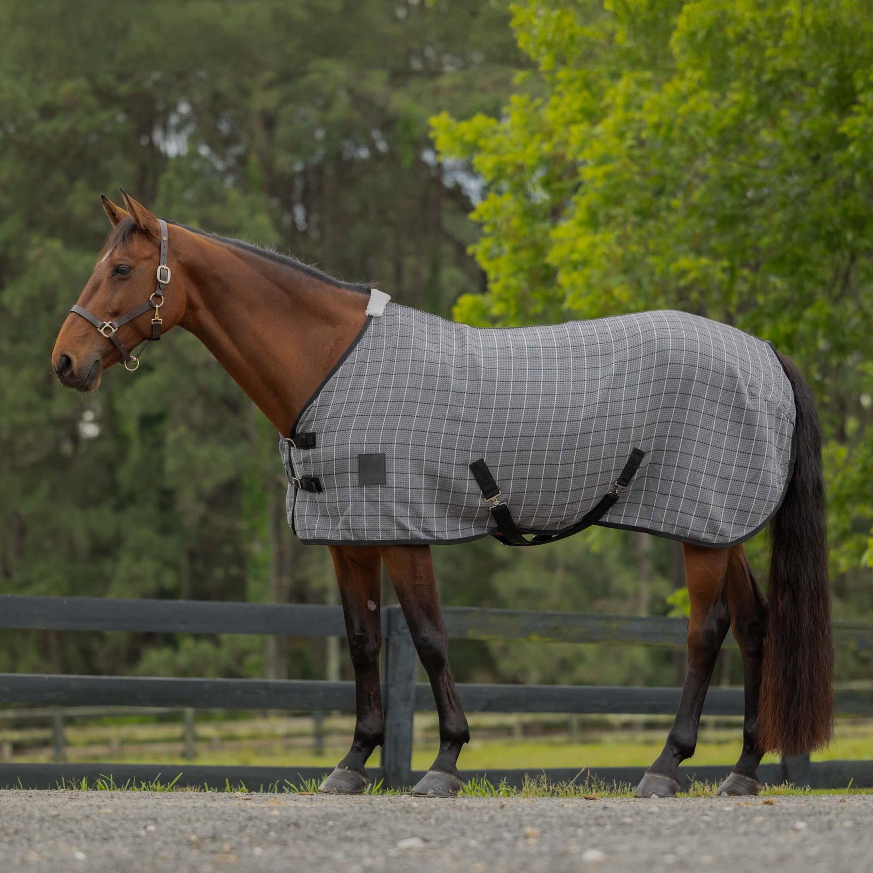 Equinavia Luftig Waffle Horse Cooler, Grey/Black, 70-in