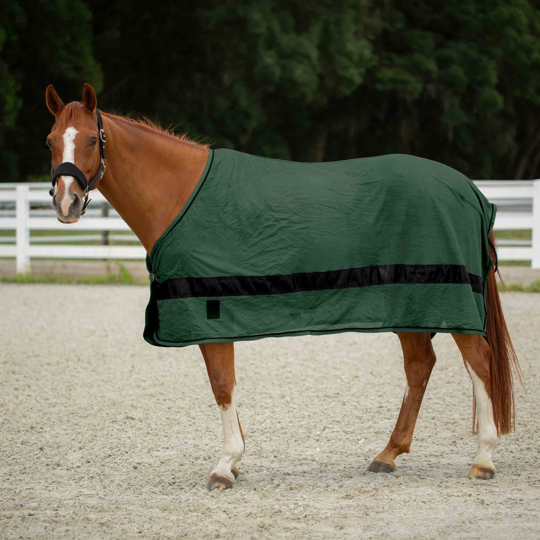 Equinavia Sol Ringside Scrim Horse Sheet, Hunter Green, Medium