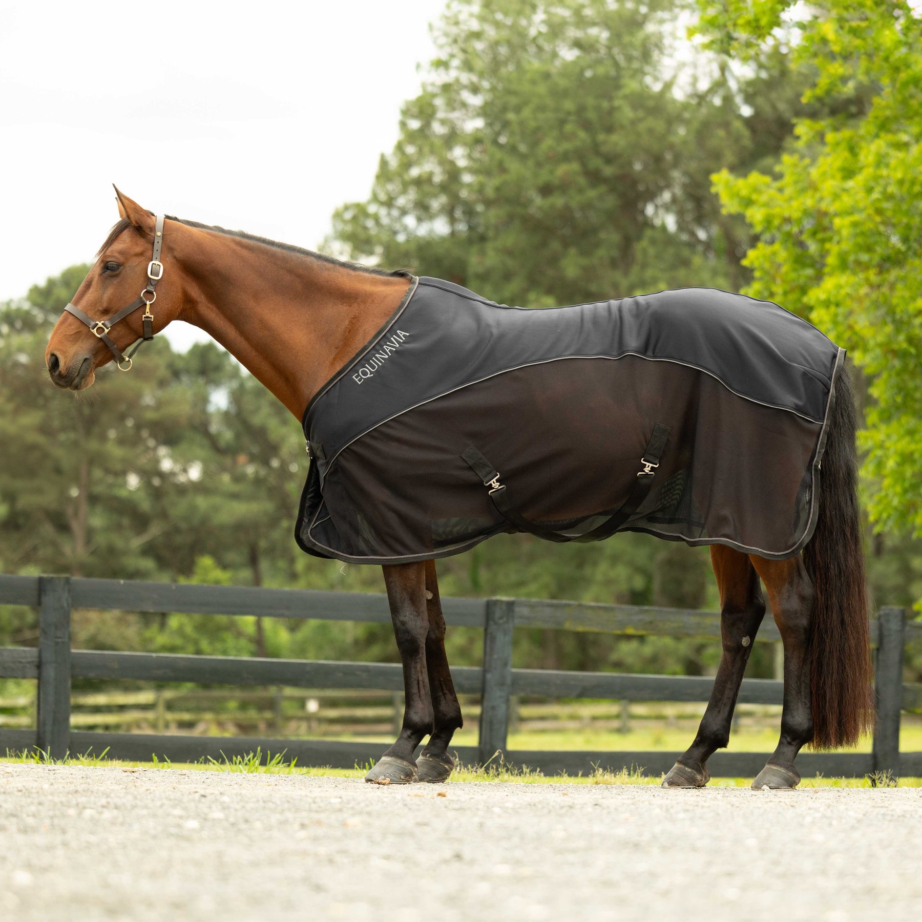 Equinavia Sommer NordicAir Horse Stable Sheet, Black/Grey, 78-in