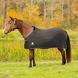 Equinavia Sefyr Scrim Horse Sheet, Black, X-Large