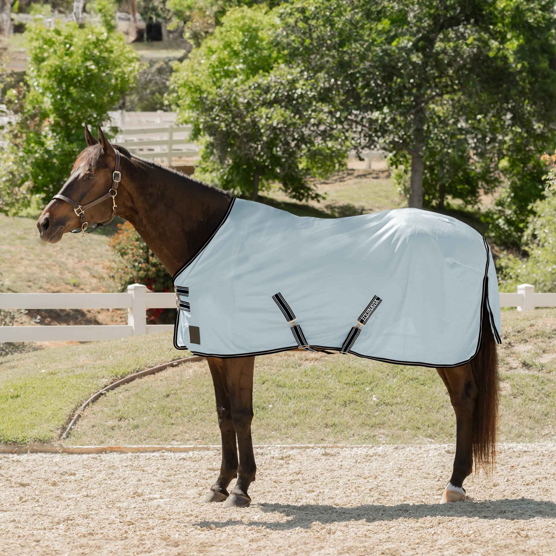 Equinavia Gard Horse Fly Sheet, Light Blue, 84-in