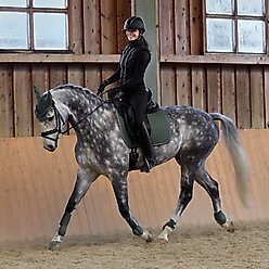 Horze Adepto Tendon Horse Boots, Beetle Khaki Green, Horse slide 2 of 8