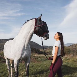 Horze Wire-Framed Horse Fly Mask, Windsor Wine, Medium slide 2 of 7