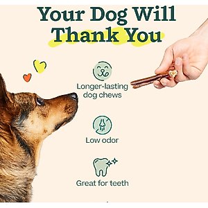 Woof BullySafe & 6-inch Bully Stick Dog Treats, 5 count