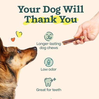 Show full view: Woof BullySafe & 6-inch Bully Stick Dog Treats, 5 count slide 5 of 8