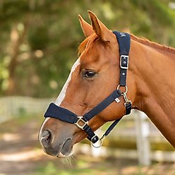 Equinavia Saga Fleece Padded Breakaway Horse Halter, Navy, Warmblood