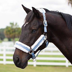 Equinavia Valkyrie Ultra Fleece Breakaway Horse Halter, Forever Blue/White, Warmblood