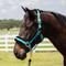 Show in main carousel: Equinavia Valkyrie Ultra Fleece Breakaway Horse Halter, Turquoise/Black, Warmblood slide 1 of 4