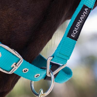 Show full view: Equinavia Valkyrie Ultra Fleece Breakaway Horse Halter, Turquoise/Black, Warmblood slide 4 of 4