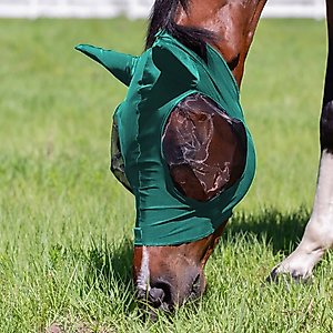 Equinavia Bug Out Horse Fly Mask, Turquoise, Cob