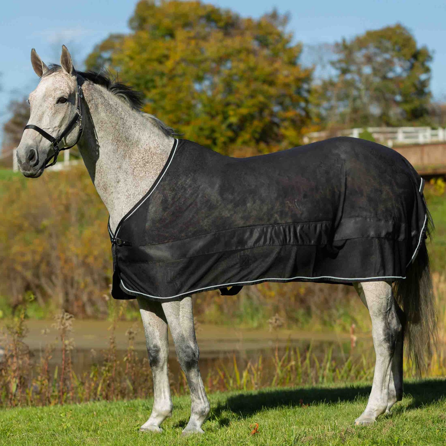 Equinavia Sol Ringside Scrim Horse Sheet, Black, Small