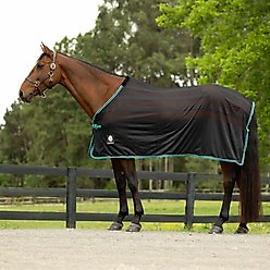 Equinavia Sefyr Scrim Horse Sheet, Black/Turquoise, Small