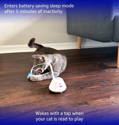 Show full view: Pet Fit For Life Cat Laser Pointer & Feather Chaser Toy, White, Medium slide 6 of 9