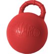 Horse Play Ball
