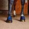 Show in main carousel: Horze Bell Horse Boots with Glitter, Dark Blue, Large slide 2 of 5