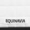 Show in main carousel: Equinavia Svalbard NordicAir Dressage Horse Saddle Pad, White slide 5 of 7
