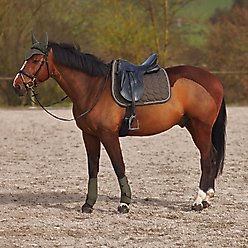 Horze Marquess Dressage Horse Saddle Pad, Walnut slide 2 of 4