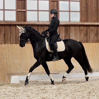 Show full view: Horze Adepto Horse Ear Net, Safari Brown, Horse slide 2 of 4