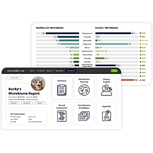AnimalBiome Gut Health Test for Cats
