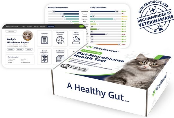 AnimalBiome Gut Health Test for Cats