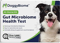 AnimalBiome Gut Health Test for Dogs