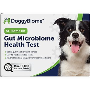 AnimalBiome Gut Health Test for Dogs
