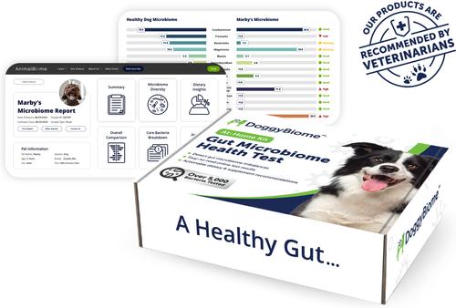 Show full view: AnimalBiome Gut Health Test for Dogs slide 6 of 8