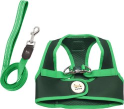 Kanine Dog Harness & Leash Set, Mountain View Green, Large