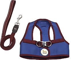 Kanine Dog Harness & Leash Set, Sodalite Blue, Large
