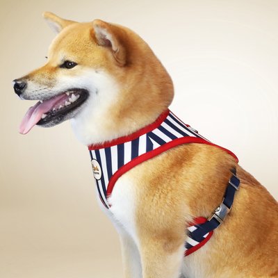Kanine Kanine Stripe Dog Harness, Black Iris, Large