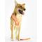 Show in main carousel: florence by mills Print Dog Harness, Orange, X-Small/Small slide 1 of 8