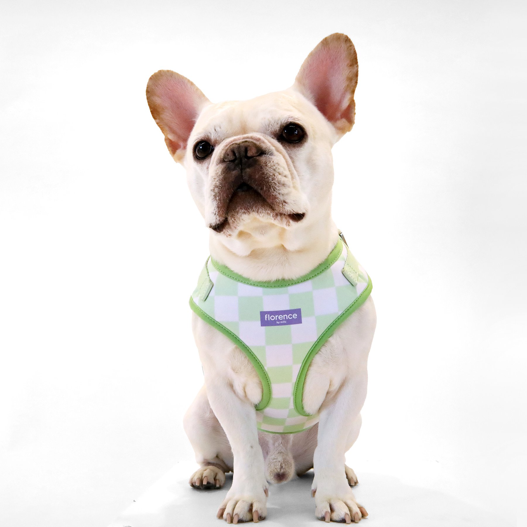 florence by mills Print Dog Harness, Green, Medium/Large