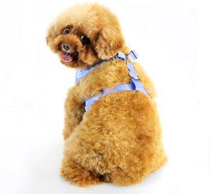Show full view: florence by mills Print Dog Harness, Blue, X-Small/Small slide 4 of 9
