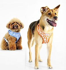 florence by mills Print Dog Harness, Blue, X-Small/Small