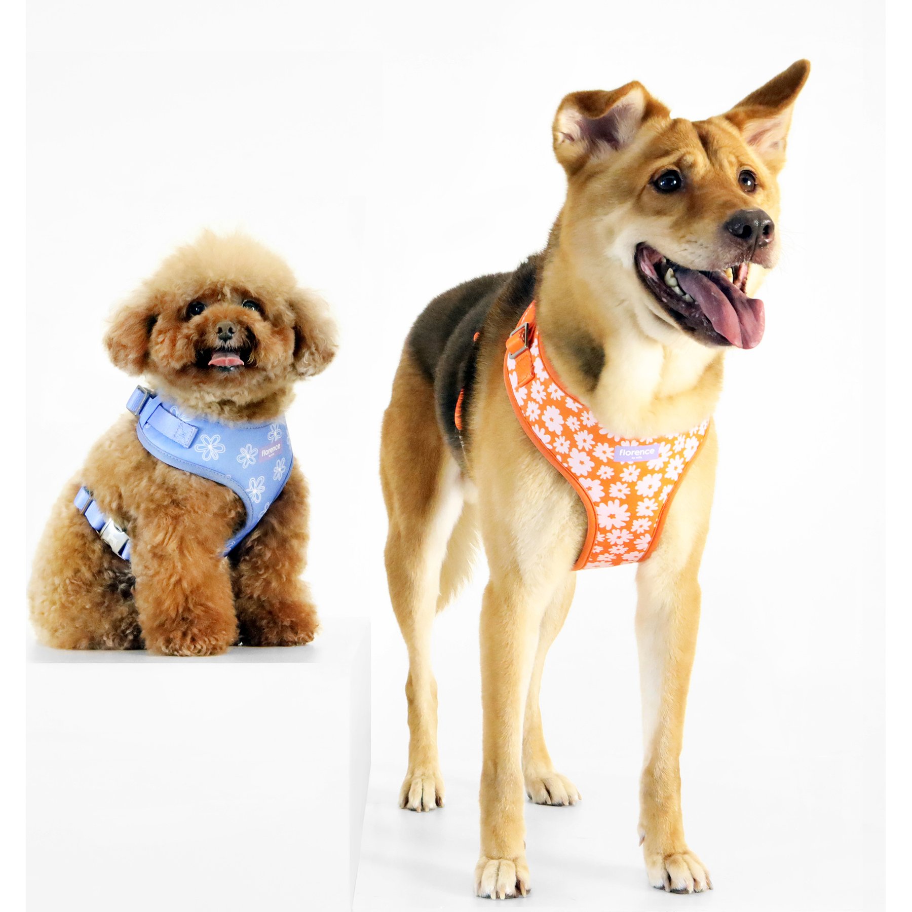 florence by mills Print Dog Harness, Blue, Large/X-Large