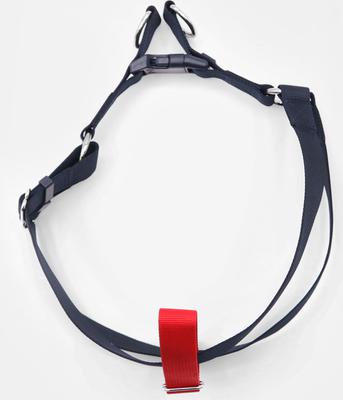 Show full view: Tommy Hilfiger Color-Blocked Dog Harness, Desert Sky/Red, X-Small/Small slide 7 of 8