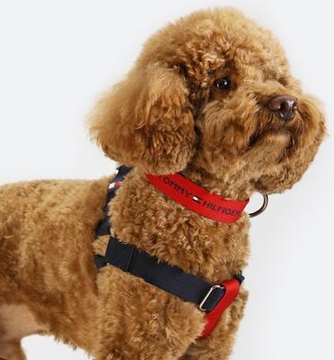 Show full view: Tommy Hilfiger Color-Blocked Dog Harness, Desert Sky/Red, X-Small/Small slide 3 of 8