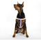 Show in main carousel: florence by mills Appleskin Dog Harness, Purple, X-Small/Small slide 6 of 7