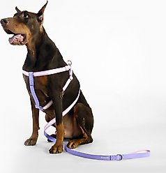 florence by mills Appleskin Dog Harness, Purple, Large/XX-Large slide 2 of 2