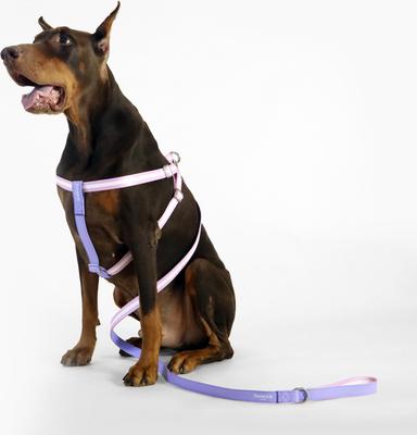 Show full view: florence by mills Appleskin Dog Harness, Purple, X-Small/Small slide 7 of 7